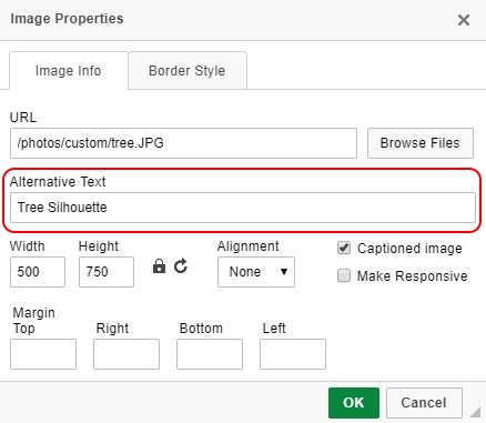 Add Photo Alternative Text Field