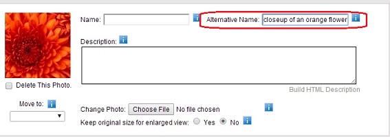 Photo Album Module Alternative name for Image
